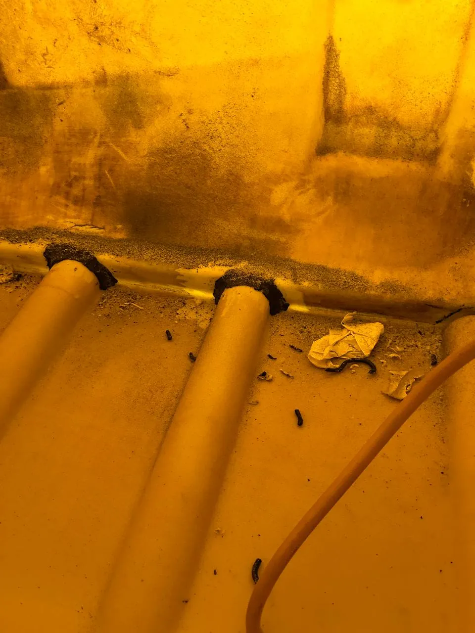 Foto 6 der Reparatur — Kraftstofftank-Reparatur am Traktor — Chruściel