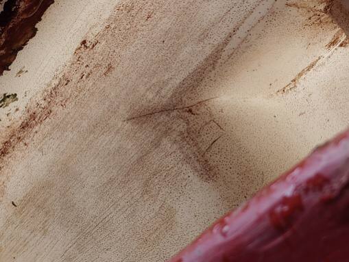 Foto 3 der Reparatur — Spritzentank-Reparatur Bargam — Myślibórz