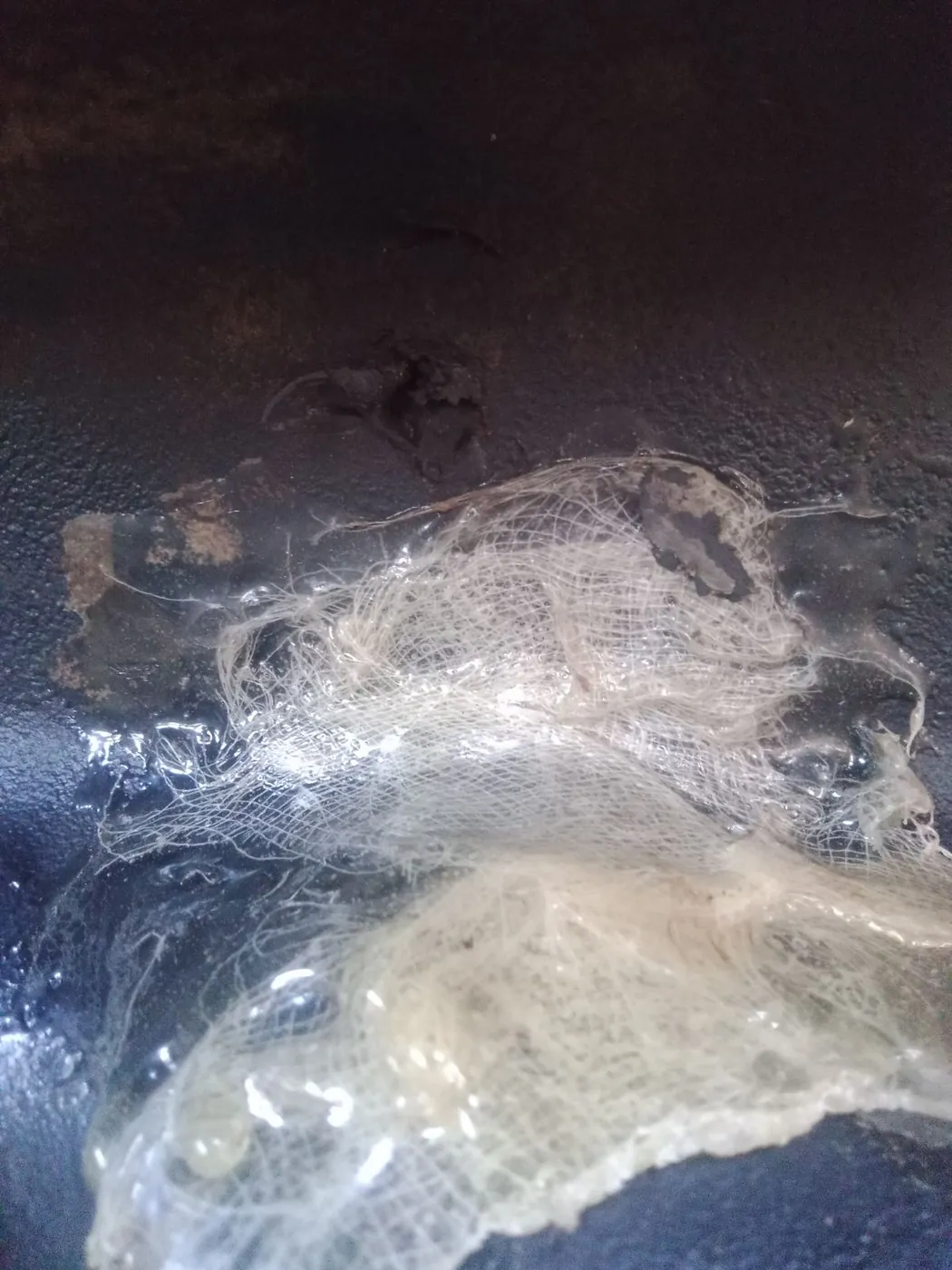 Foto 3 der Reparatur — Kraftstofftank-Reparatur Cat Challenger MT865 C