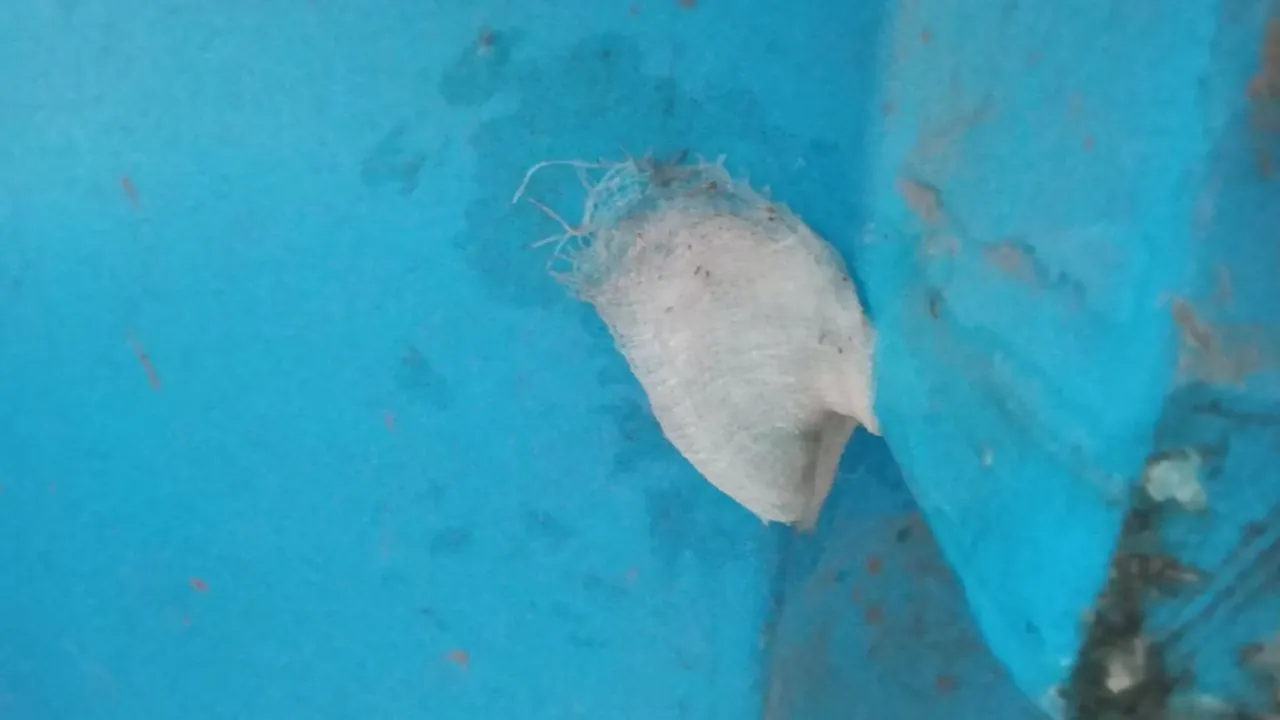 Foto 2 der Reparatur — Spritzentank-Reparatur (2)