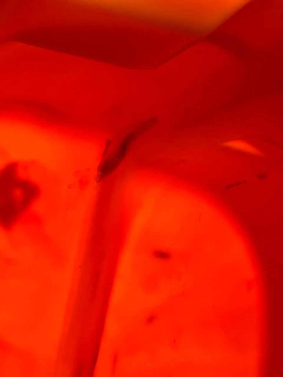 Foto 9 der Reparatur — Spritzentank-Reparatur — Riss an der Naht